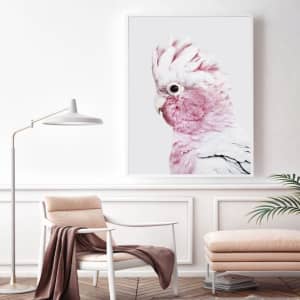 80cmx120cm Pink Galah White Frame Canvas Wall Art...