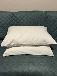 Duck Feather Pillows (2)