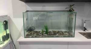 150 litre fish tank light rocks
