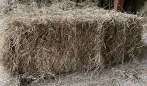 Grass Hay For Sale