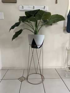 Indoor Pot Plant and Stand