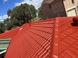 Full roof repairs and restoration roof painting gutters cleaning