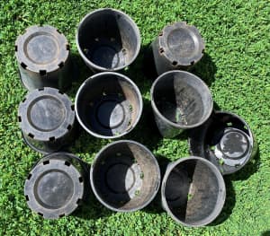 10 Clean, Great-Conditioned  200MM Plant Pots