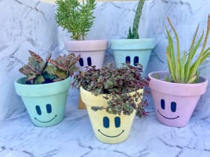 Hand painted terracotta pots with succulents (variety)