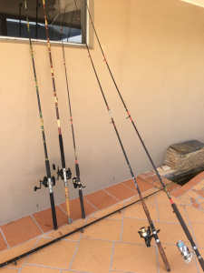 Fishing Rod n Reel Cleanout. Hurry, Bargains!!!