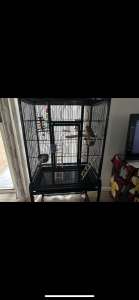 Bird cage and budgies