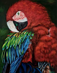 Scarlet Macaw - Original Oil Painting 