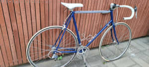 Avanti Vintage 80s steel bike