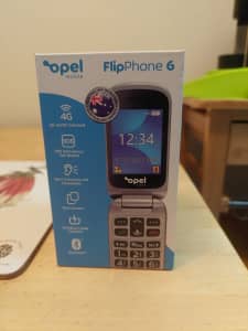 Flip flop phone
