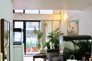 Sunny apartment conveniently located in Sydneys iconic Surry Hills.