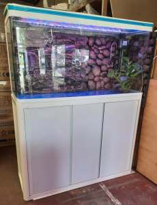 D1000 3.3 FT (170 Liters)Brand New Curved Glass Tank with LED Light