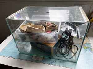 Hermit crab kit - tank, shells, dishes, sand and supplies