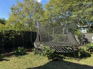 Spring free medium trampoline