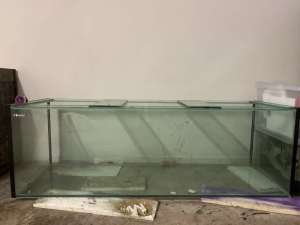 6 foot fish tank and stand