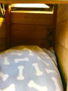 URGENT!! Weatherproof Kennel w 2 Pet Beds - SELL $90