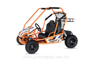 🔥🐷🚀MIDI Size Off road Electric Buggy 2 seater