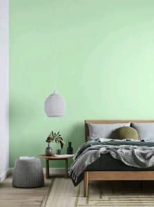 Dulux professional interior low sheen 