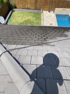 Wanted: Roof cleaning and repainting 