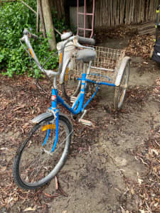 free spirit 3 wheel bike