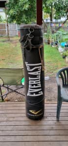Everlast boxing bag 