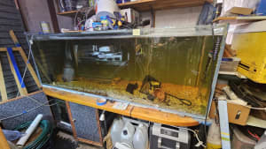 6Ft Fish Tank with Stand