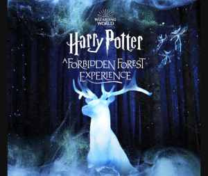 Harry Potter Forest Experience 