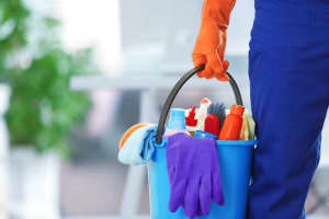 House and Commercial Cleaning Services