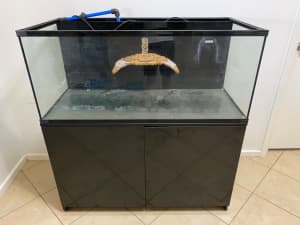 Fish tank inc. cabinet 