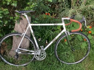 Retro Gios Compact race bike size MD/LG 55.5cm top tube Campag Veloce
