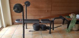 Bench and weights for the home gym