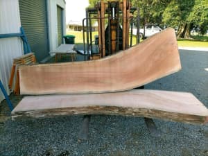 KILN DRIED Silky Oak Live Edge Timber Slabs