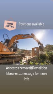 Asbestos removal/demolition labourer 