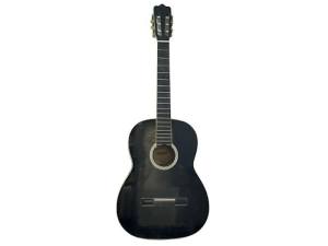 Ashton Cg44bk Black Acoustic Guitar 033700244888