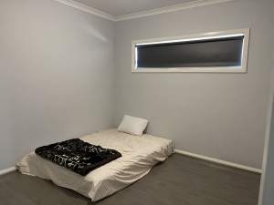 1 Room for rent in Wyndham vale
