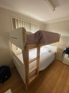 King Single bunk bed