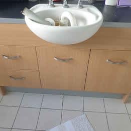 Bathroom sinks (Fowler) and tapware