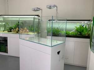 Brand new 10mm low iron glass 3ft aquarium fish tank