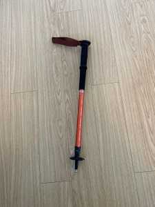 Hiking Stick Extendable up to 110cm