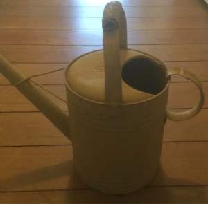 Vintage Willow steel watering can