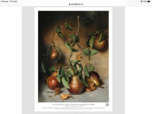 French Fine art print/poster/photo 