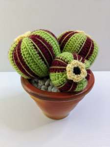 Knitted Cactus In Terracotta Pot / Succulent