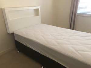 Sealy King Single Mattress (new) with Ensemble base and headboard