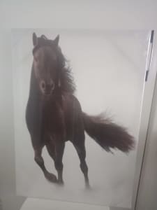 Horse picture. As new.