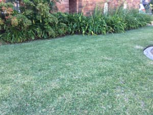Lawn Mowing and Edging