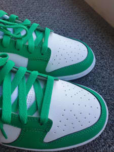 Nike Celtic Dunk shoes (Brand New)