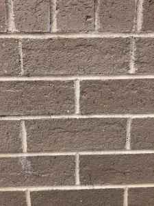 Beige Bricks standard size