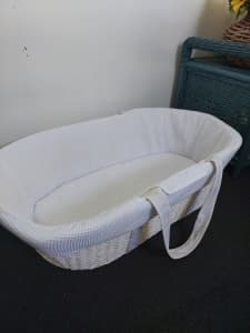 Moses basket hot sale baby bunting