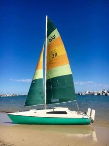 Wanted: WANTED: Hobie Wave or Trailerable sailing catamaran 18 ft