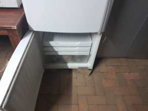 Fisher pakel fridge freezer can deliver 