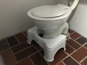 Original squatting toilet stool 
